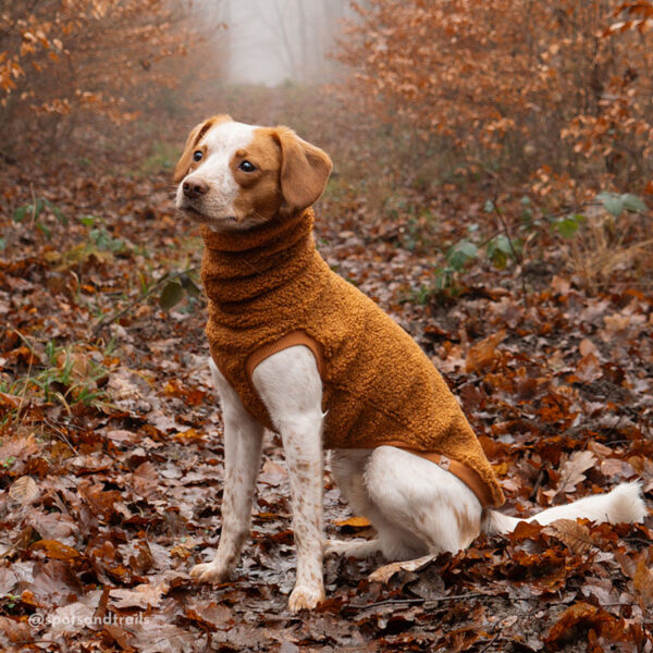 Teddy fleece tank/raglan - Image 6