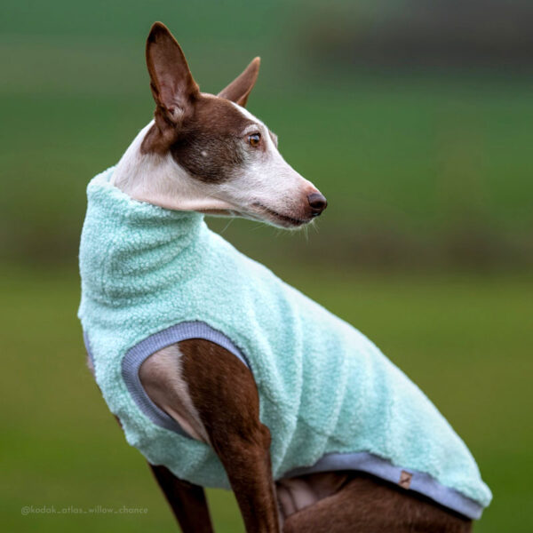 Teddy fleece tank/raglan - Image 8