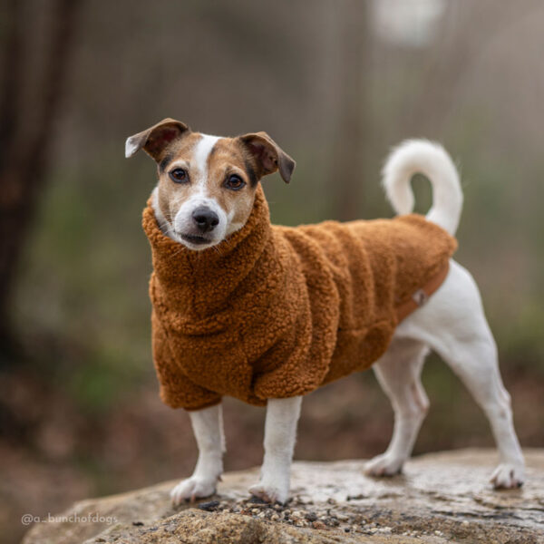 Teddy fleece tank/raglan - Image 9